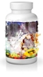 aktive-papain-enzyme aktive-papain-enzyme