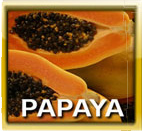 Papayaenzym Papayaenzym