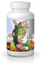 Digestive Enzyme  – Amylase, Lipase, Pepsin, Papain + mehr