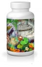 Support B Enzymes  –  Vitamin B, um drauf zu bauen
