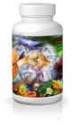 glucosamin