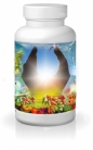 Vitamin D & K Enzymes