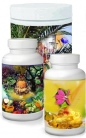 Omega-3-Anti-Stress-Programm